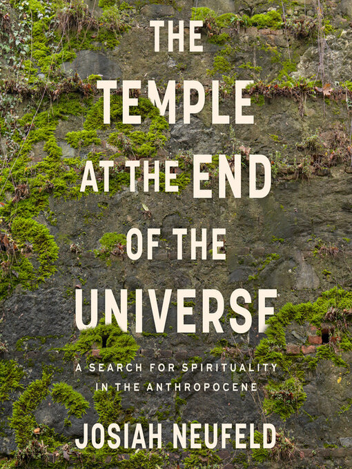 Cover image for The Temple at the End of the Universe